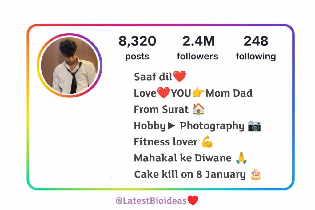 Instagram Bio For Boys Attitude