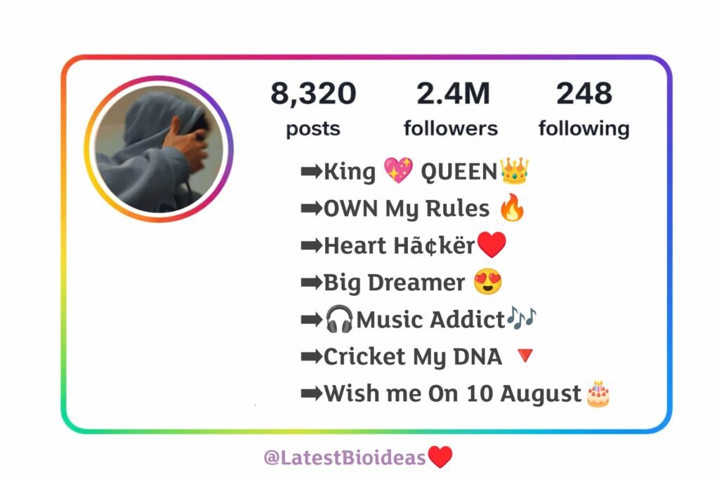 Instagram Bio for Boys Stylish Font